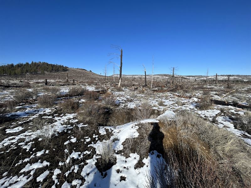 Unveil The Potential of 2.31 Acres : Sprague River : Klamath County : Oregon