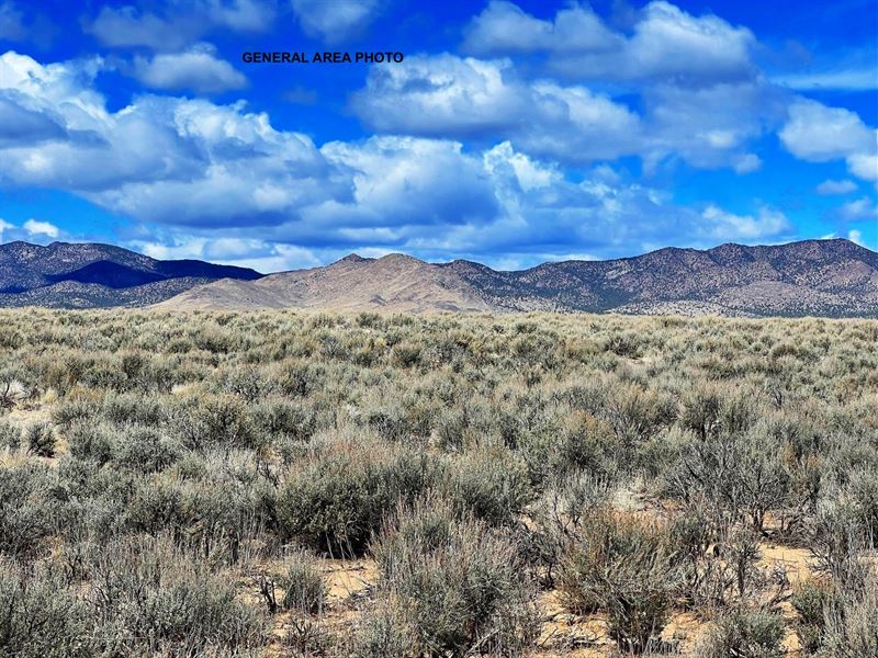 RV Friendly Off Grid Utah Desert : Beryl : Iron County : Utah