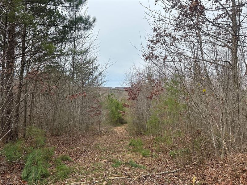 5.07 Acres Unrestricted Near Mont : Tracy City : Grundy County : Tennessee