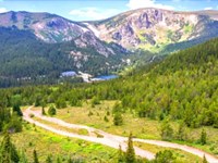 Cabin Lot Next to Evergreen Forest : Idaho Springs : Clear Creek County : Colorado