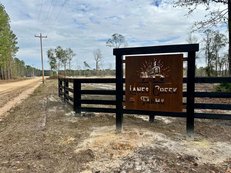 Lanes Creek Farms, 20 Lots, 5-26 ac : Brooklet : Bulloch County : Georgia