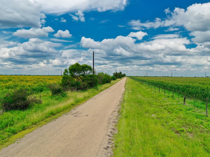 2.8 Acres in Medina County, TX : D'hanis : Medina County : Texas