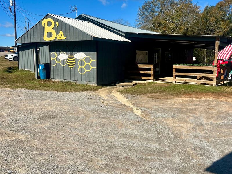 B's Hive : Georgiana : Butler County : Alabama