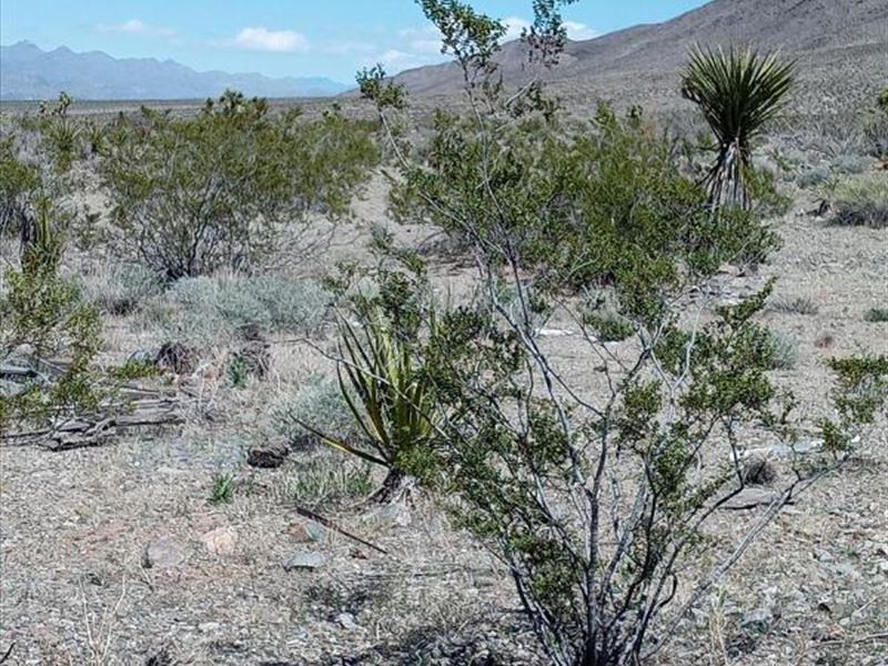 Pleasing Meadview AZ 1 Acre Lot 22 : Meadview : Mohave County : Arizona