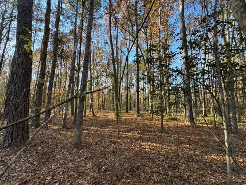 Peaceful Homesite Minutes From Town : Wetumpka : Elmore County : Alabama