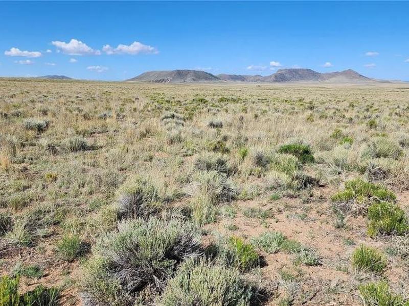 Remarkable.21-Acre Rio Grande Lot : Antonito : Costillo County : Colorado