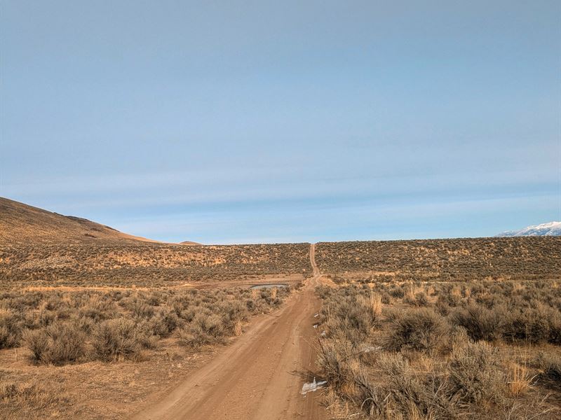 Spring to Life on 1.13 Ac NV : Spring Creek : Elko County : Nevada