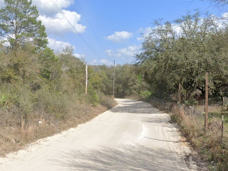 Over an Acre of Land, Umatilla, FL : Umatilla : Marion County : Florida