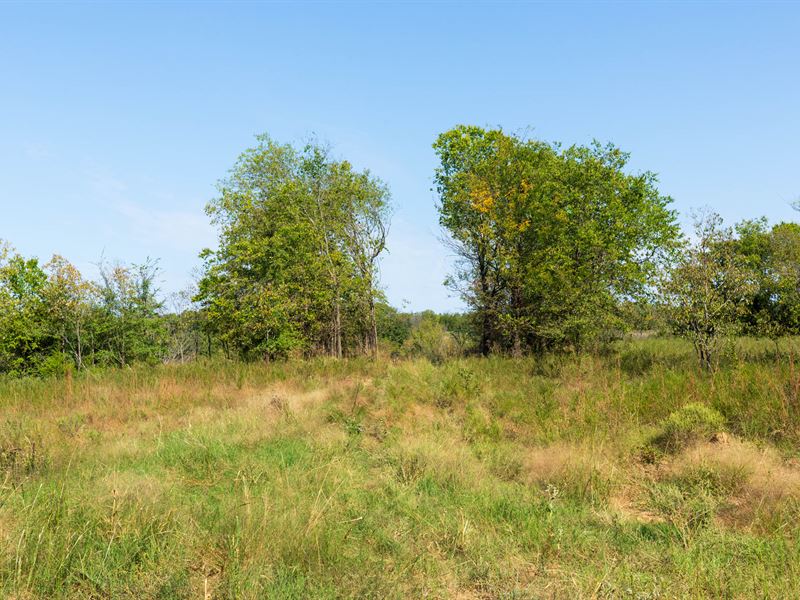 Beautiful Land, Low Down Payment : Stroud : Lincoln County : Oklahoma