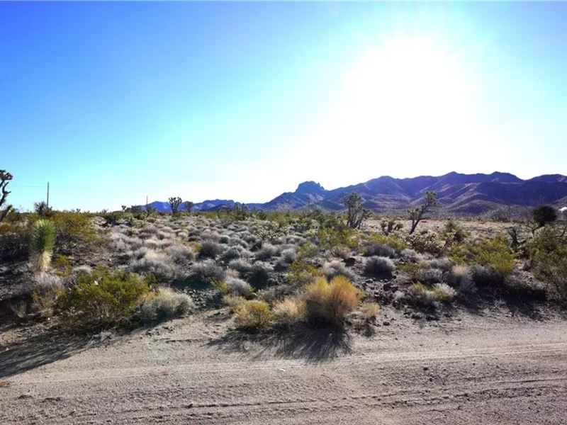 High Desert Escape, $125-$250/Mo : Dolan Springs : Mohave County : Arizona