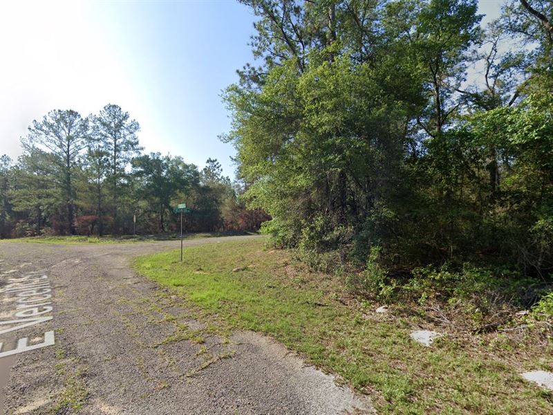 Citrus Springs Lot for Sale : Citrus Springs : Citrus County : Florida