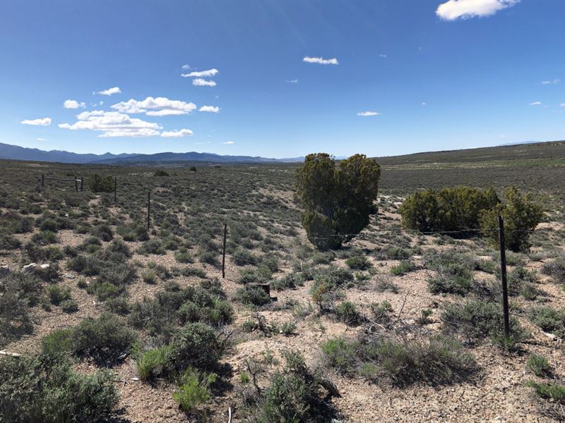 10 Ac Enclosed Private Oasis in NV : Montello : Elko County : Nevada