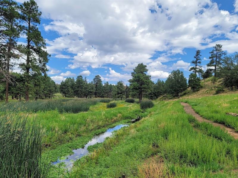 Lot in Navajo County Now Available : Sun Valley : Navajo County : Arizona