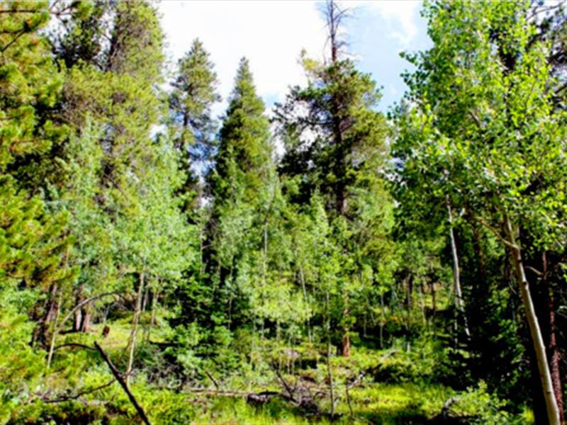 Own 3.0 Acres in Colorado : Black Hawk : Gilpin County : Colorado