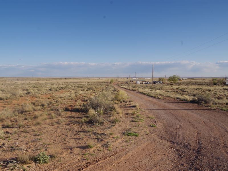 A Smart Investment Only $50/M : Sun Valley : Navajo County : Arizona