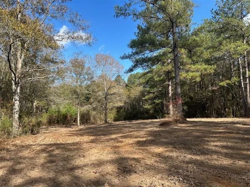 5 Acres in Summit Mississippi : Summit : Pike County : Mississippi