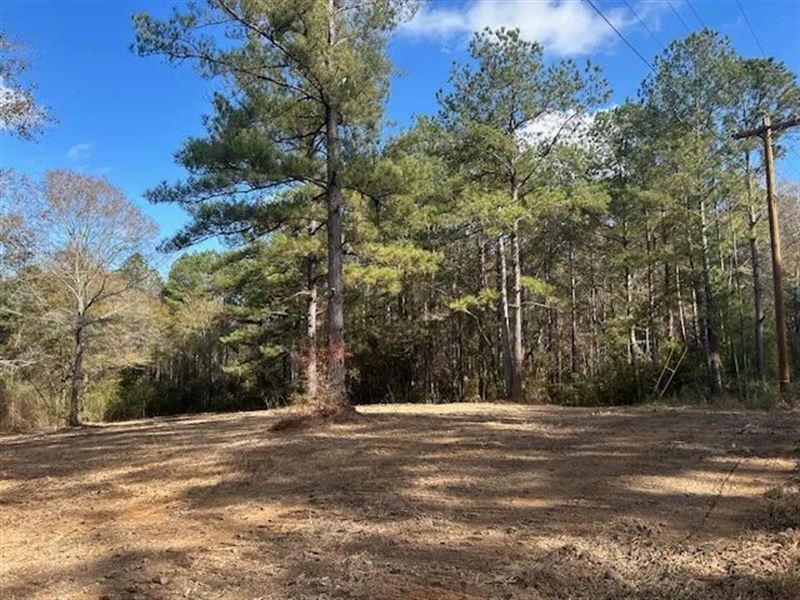 3.5 Acres in Pike County Mississipp : Summit : Pike County : Mississippi