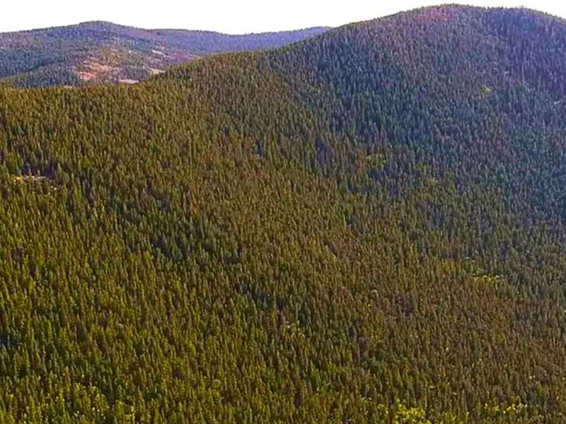 3.5 Acres, Top Of The Mountain : Idaho Springs : Clear Creek County : Colorado