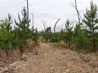 No Credit Check and $999 Down : Holladay : Benton County : Tennessee