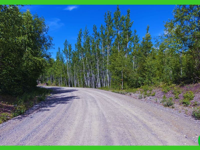 .92 Acre in Wasilla, AK : Wasilla : Matanuska-Susitna Borough : Alaska