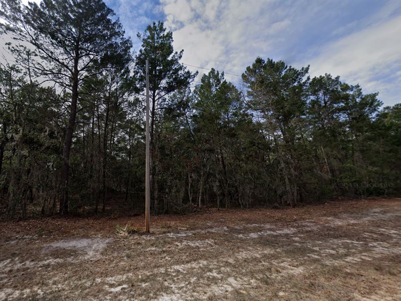 Affordable Lot in Interlachen, FL : Interlachen : Putnam County : Florida