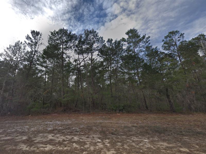 Serene 0.22 Acre Property : Interlachen : Putnam County : Florida