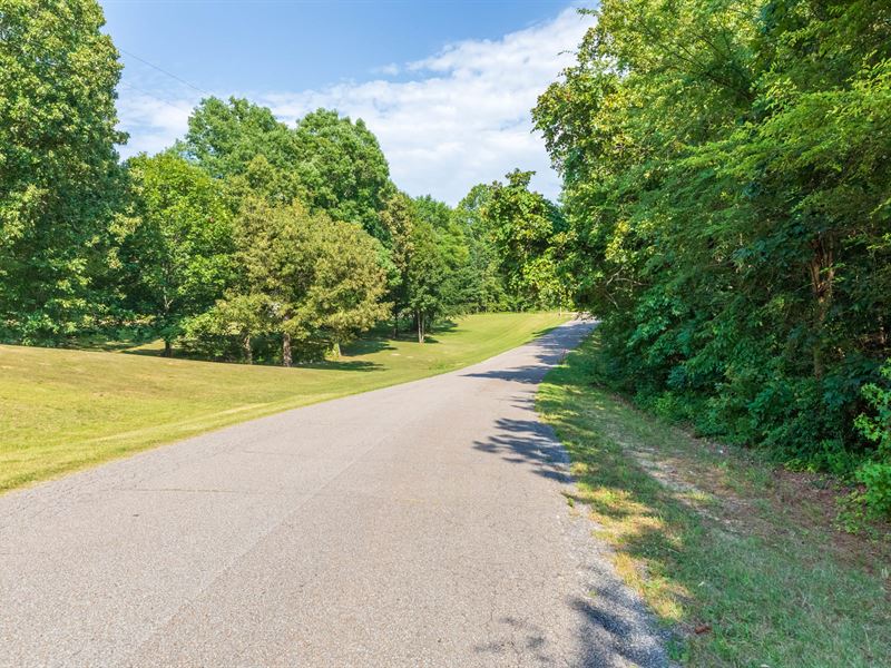 Rare Opportunity, Easy Access Land : Huron : Henderson County : Tennessee