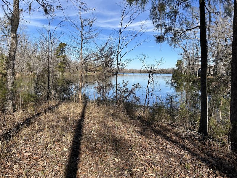 Alabama River Lots : Camden : Wilcox County : Alabama