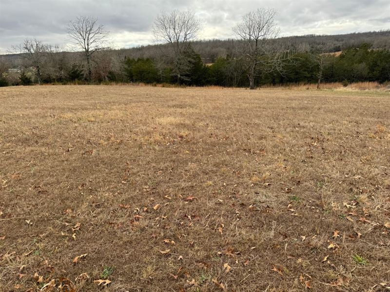 Pasture Ground & Hay Fields, Pond : Mammoth Spring : Fulton County : Arkansas