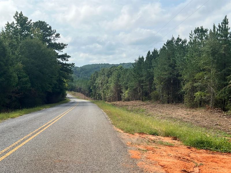 Skipperville Mini Farm Tract 1 : Skipperville : Dale County : Alabama