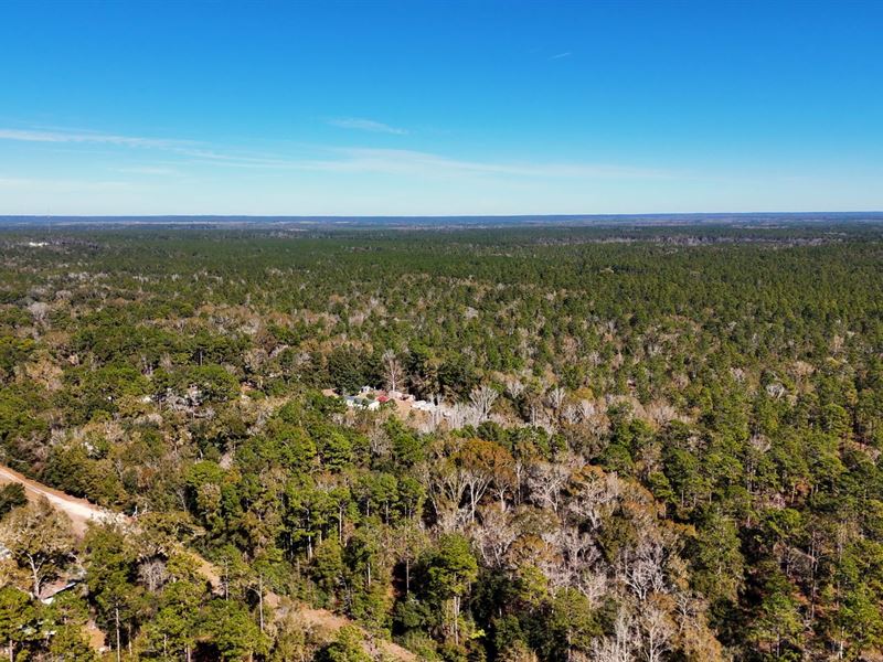 1.97 Acres in Leon County, FL : Tallahassee : Leon County : Florida