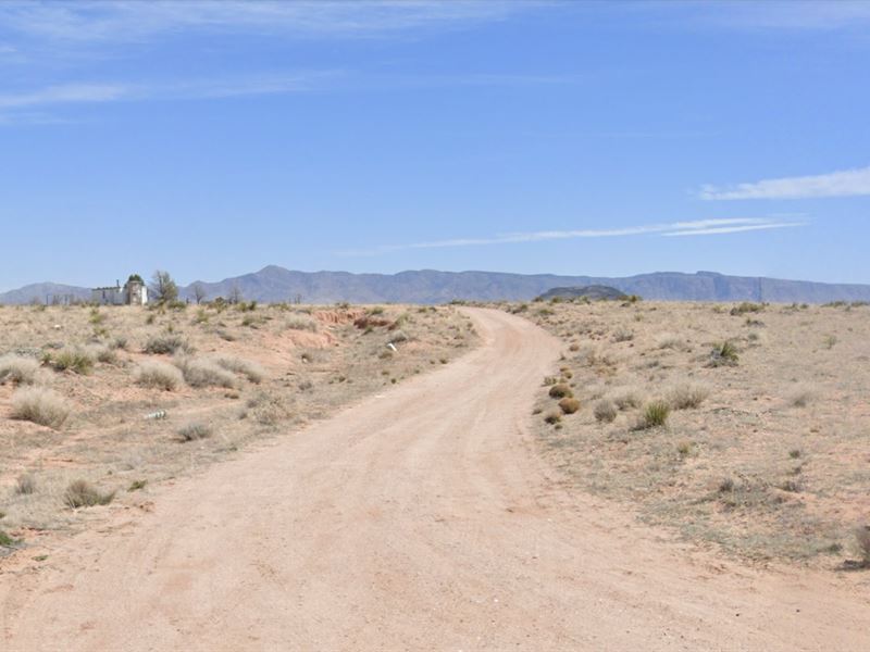 Take Back Your Freedom : Veguita : Socorro County : New Mexico