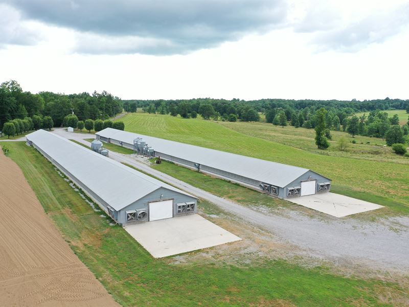 Hrang Family Breeder Farm : Dayton : Rhea County : Tennessee