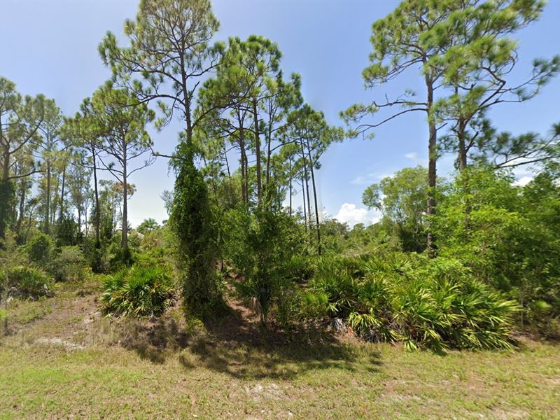 Florida Land Ownership at $391/Mo : Punta Gorda : Charlotte County : Florida