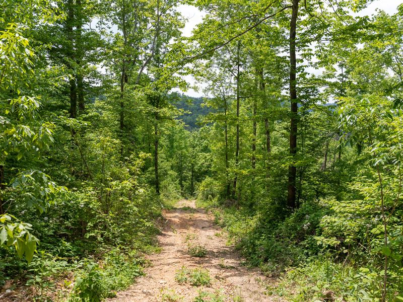 Tennessee Land $999 Down : Linden : Perry County : Tennessee