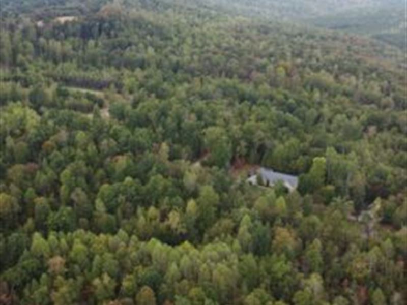 3 Wooded Acres with Creek : Dunlap : Sequatchie County : Tennessee