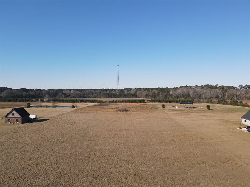 Land for Sale in Headland AL 5 ac : Headland : Henry County : Alabama