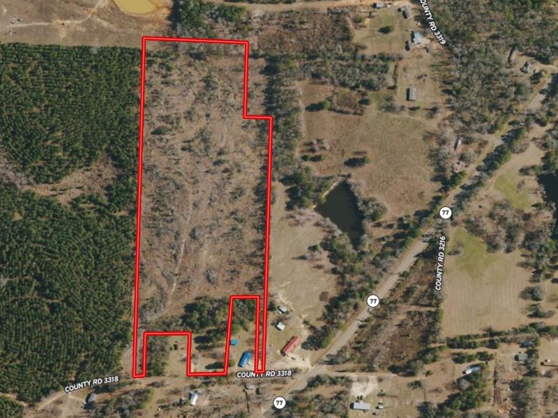 18 Acres in Cass County : Atlanta : Cass County : Texas