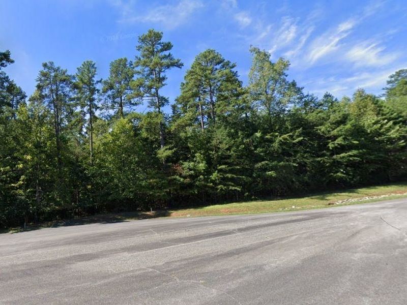 Exceptional Vacant Lot in Altavista : Altavista : Campbell County : Virginia