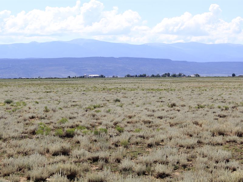 10 Scenic Acres in San Luis CO : San Luis : Costilla County : Colorado