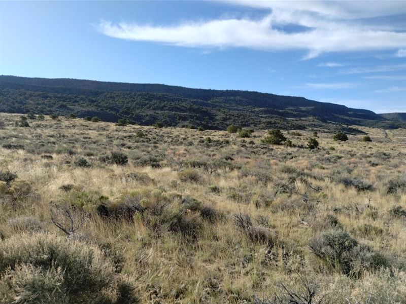 Affordable Off-Grid Land : San Luis : Costilla County : Colorado