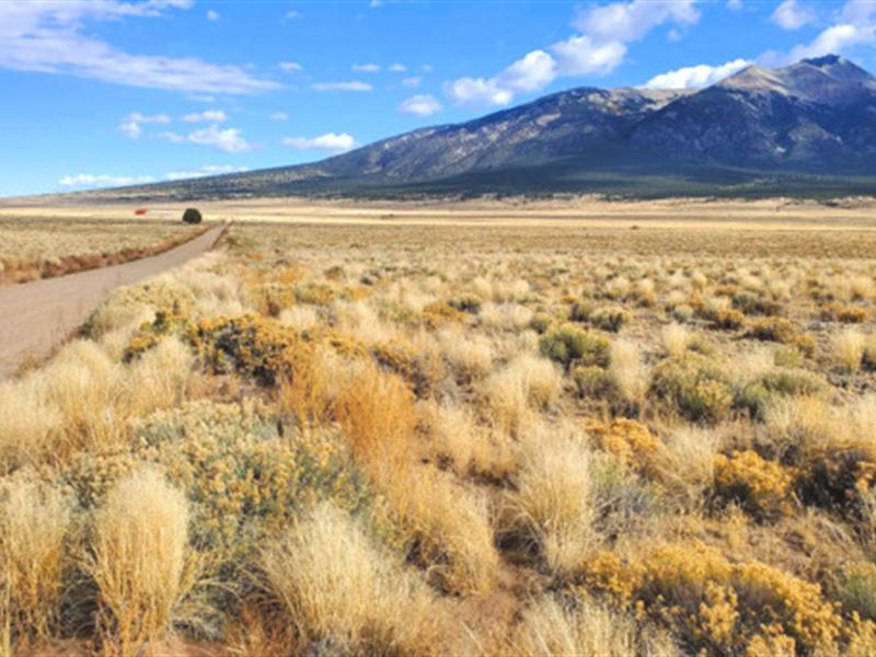 Mountain Views to Build or Camp : Alamosa : Alamosa County : Colorado