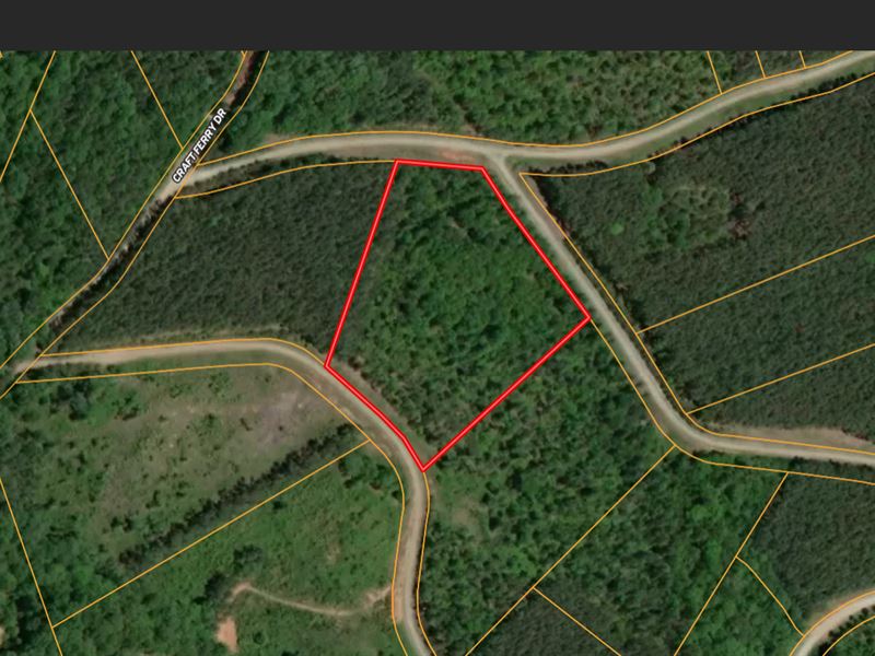 6 Wooded Acres in Elberton, GA : Elberton : Elbert County : Georgia