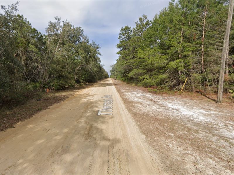 Build, Relax, Explore 0.22 Acres : Interlachen : Putnam County : Florida