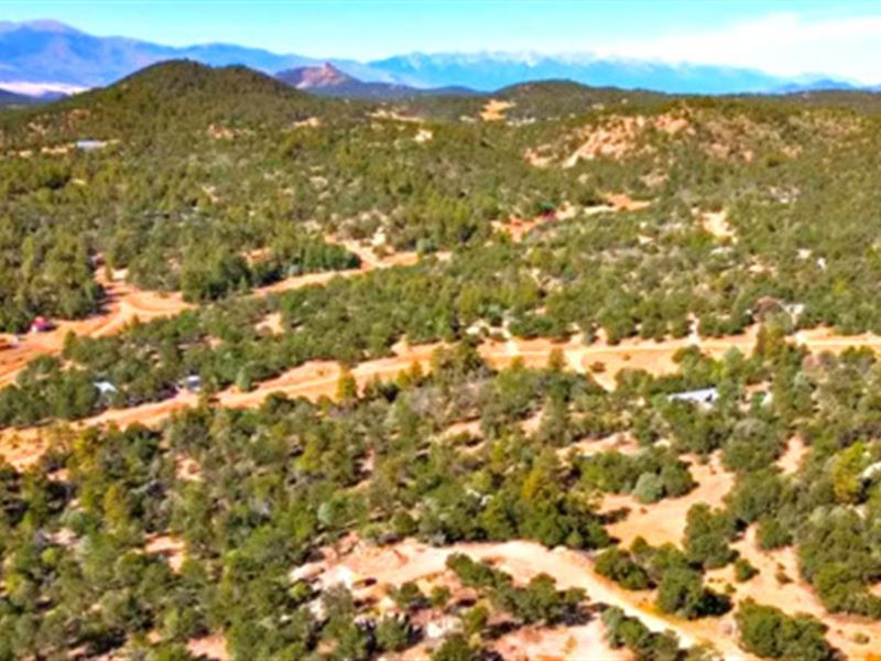 2 Acres Close to National Forest : Cotopaxi : Fremont County : Colorado