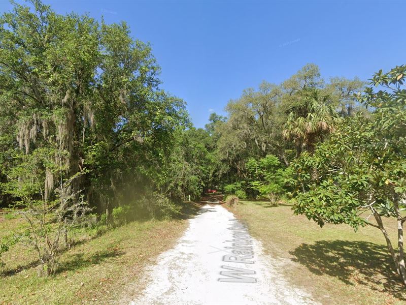 Secluded Homesite in Crystal River : Crystal River : Citrus County : Florida