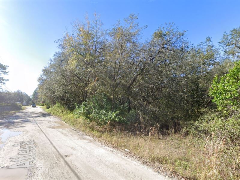 Mobile Home Lots, Moon Lake Estates : New Port Richey : Pasco County : Florida