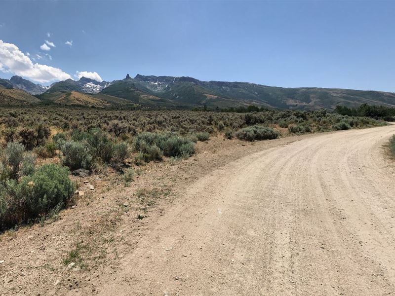 1.0 Acres to A New Path in Elko, NV : Elko : Elko County : Nevada