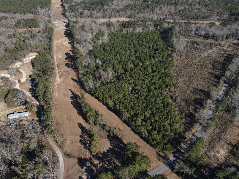 20 Acres in Jasper County, MS : Heidelberg : Jasper County : Mississippi