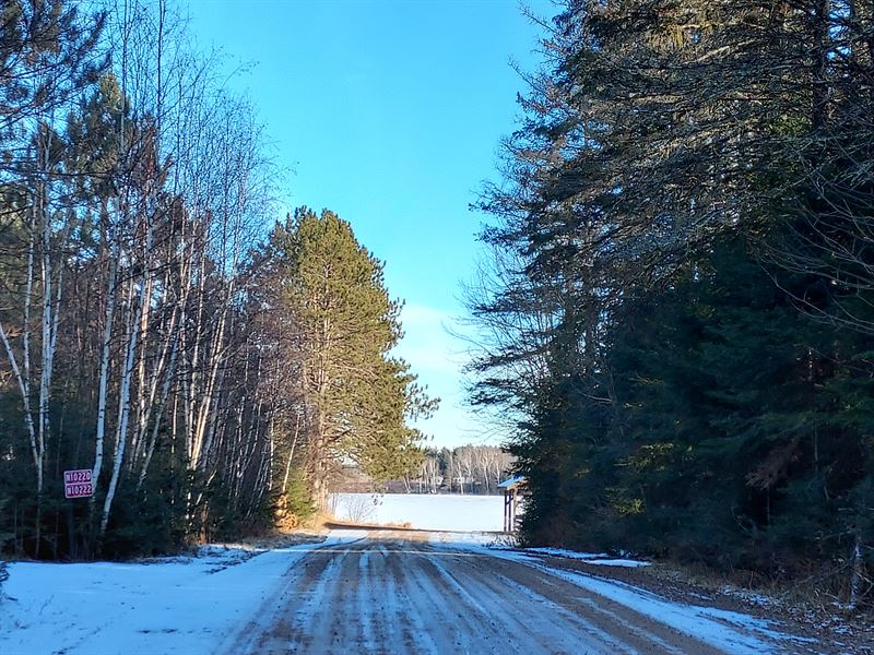 Lakeview Property, Very Secluded : Phillips : Price County : Wisconsin